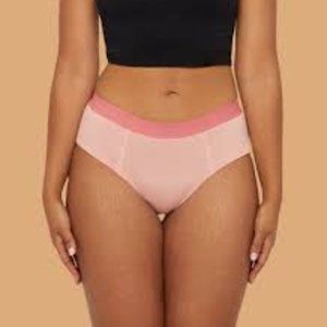 Thinx Super Organic Cotton Brief (Guava)